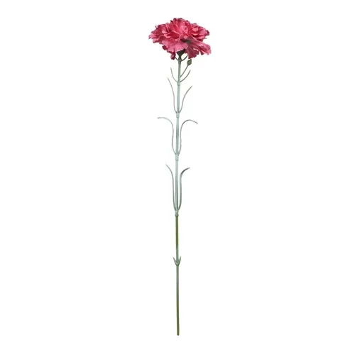 Karafiát – vetvička 53 cm light red GK700  